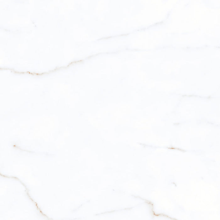 favoritewhite