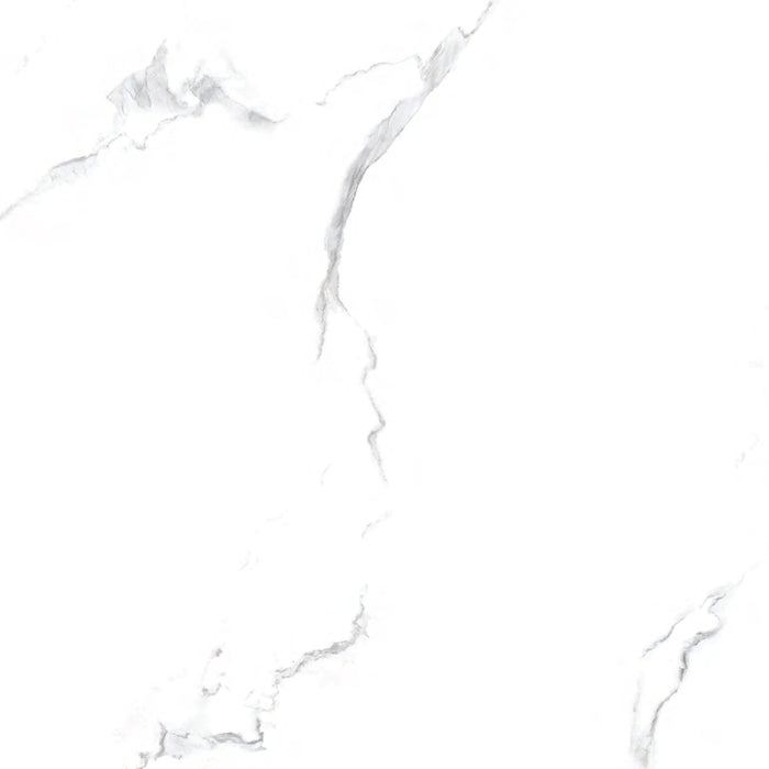 torreancewhite